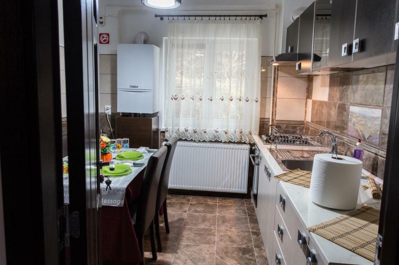 Apartament Apartament Feelmount Buşteni Zewnętrze zdjęcie